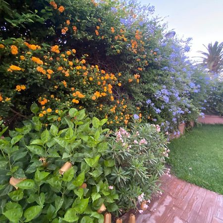 Apartamento Jardin Sanlucar Sanlucar de Barrameda Ngoại thất bức ảnh