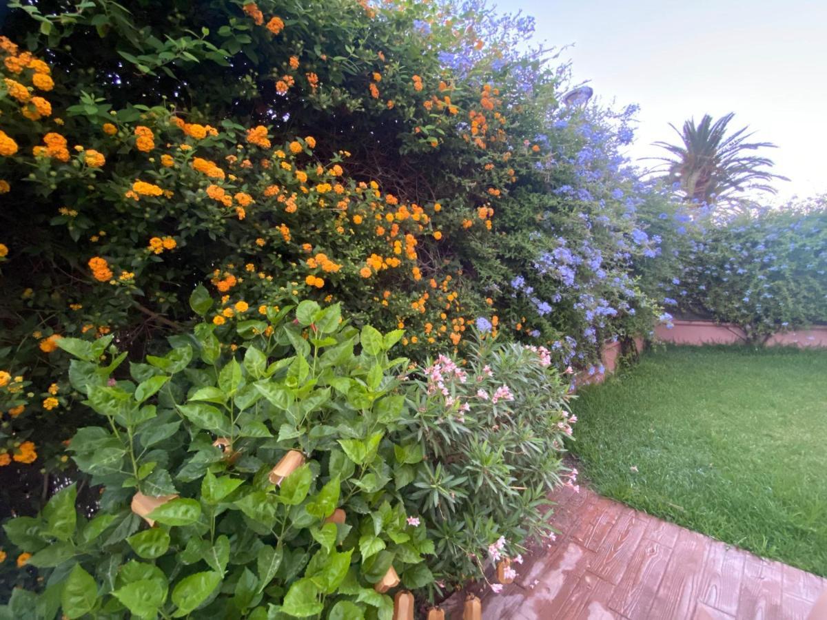 Apartamento Jardin Sanlucar Sanlucar de Barrameda Ngoại thất bức ảnh